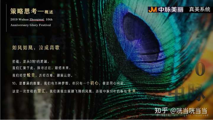 过往,未来,蜕变,百难,翅展云舒,能量,初心,向前,未来.