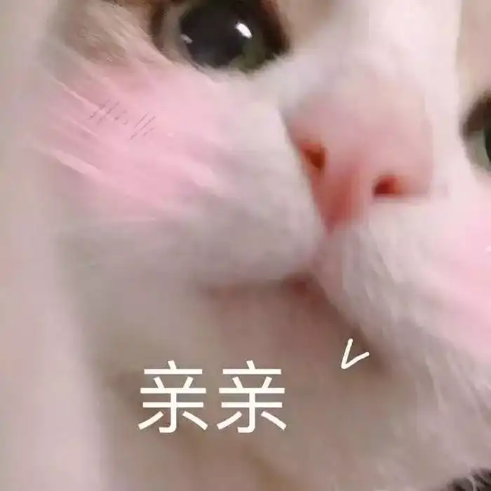 有什么撩汉的表情包,很沙雕的那种?