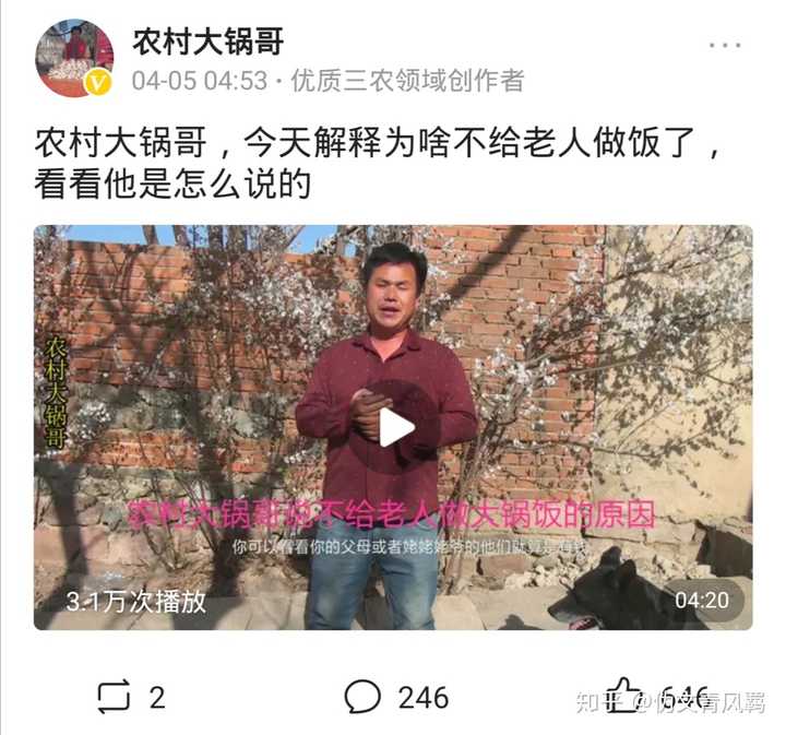 如何评价b站up主农村大锅哥?