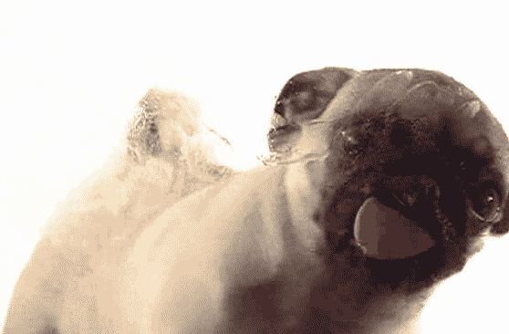 你都见过什么奇奇怪怪的网站?