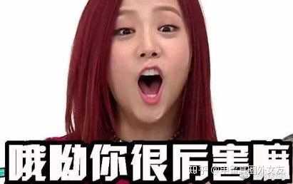 大家真的吃金智秀jisoo的颜吗?