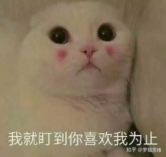 有哪些可以哄女朋友的表情包