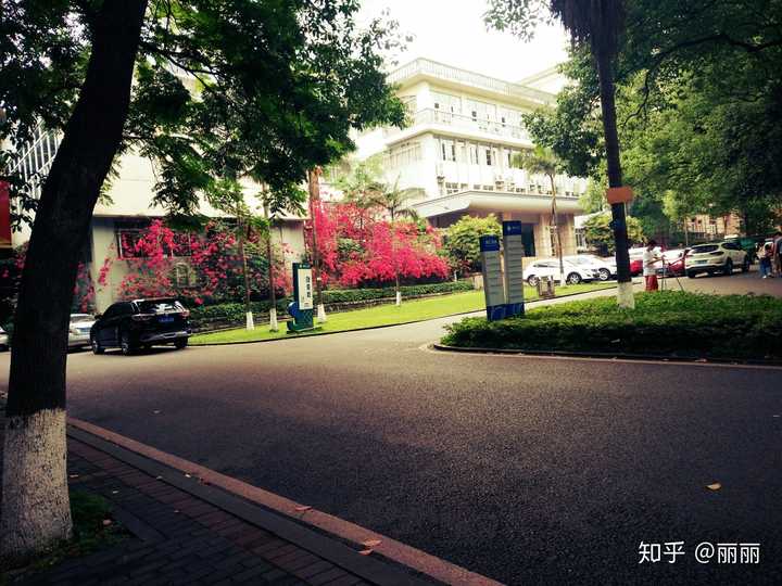 问一下西南大学的学长学姐?