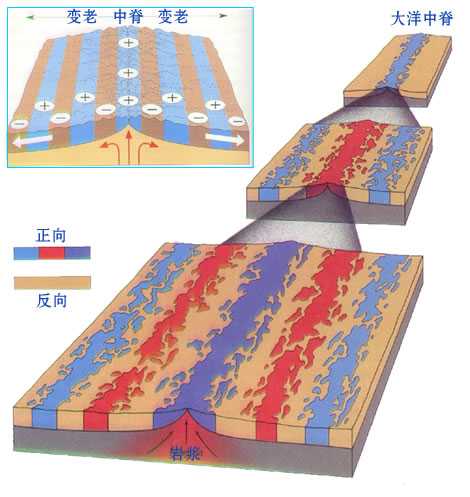 很有意思的是大洋中脊两侧的岩石正向反向地磁总是呈对称出现,这