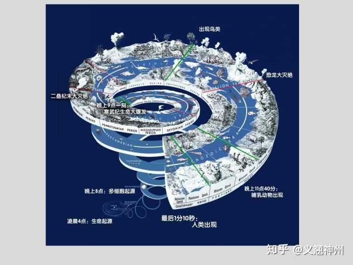为什么地球生物没有进化出轮子这类结构?