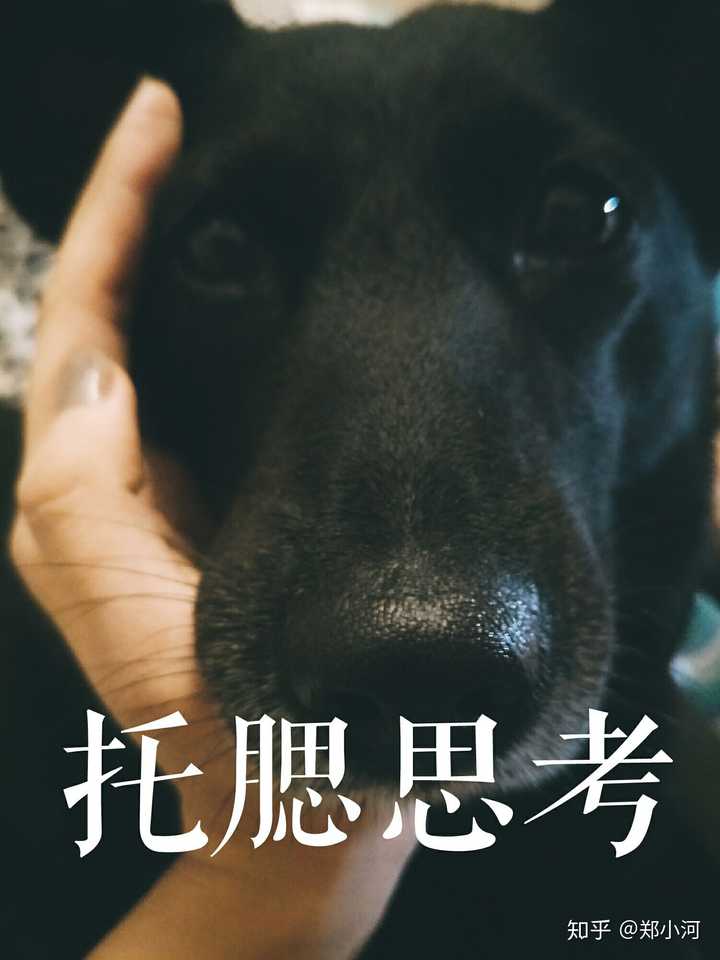 周六日的时候能不能起晚一点,让我睡个懒觉,唔,就酱,爱你