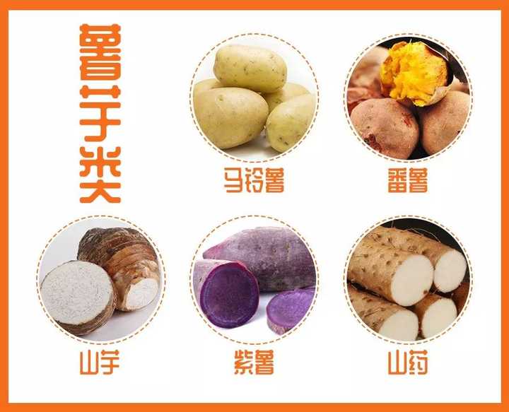 薯芋类包括马铃薯,番薯,山芋,紫薯,山药等.