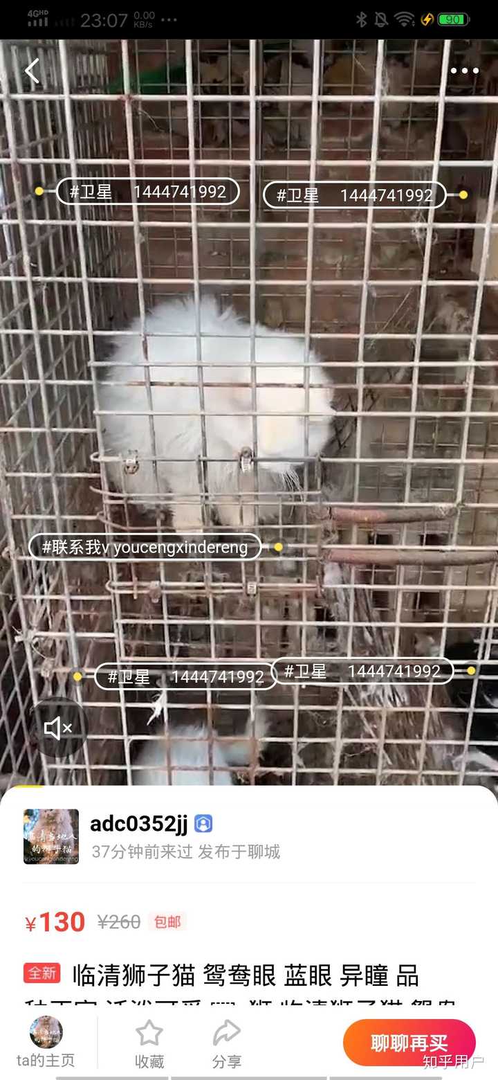 请问有哪些黑心猫舍或者黑心猫贩子 求避雷? - 知乎