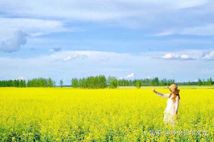 呼伦贝尔全境 梦幻阿尔山8日大环线 day1:海拉尔—莫日格勒草原