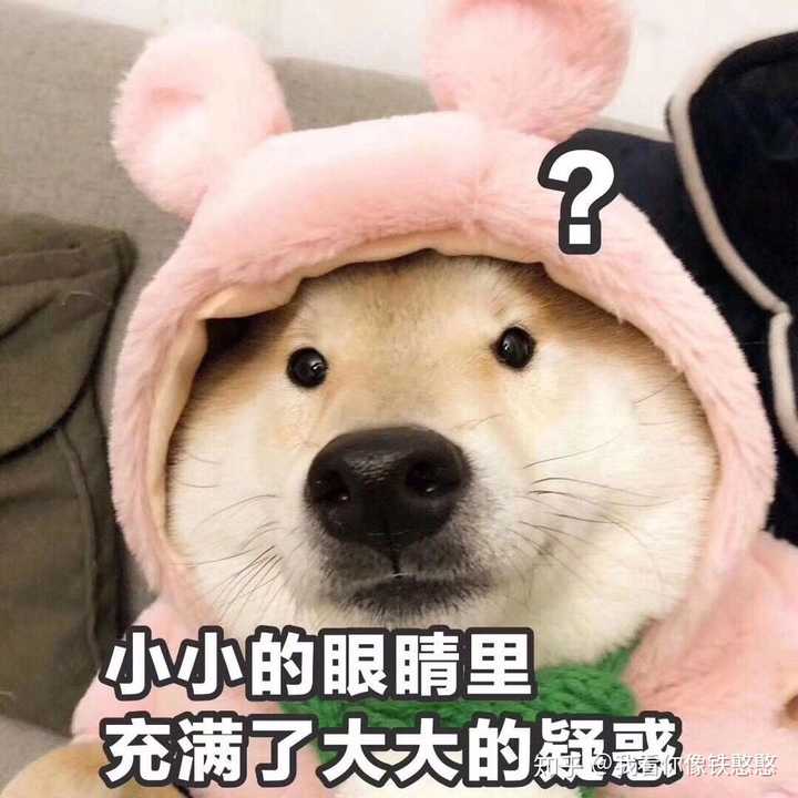 有没有知友有这种狗头表情包了?