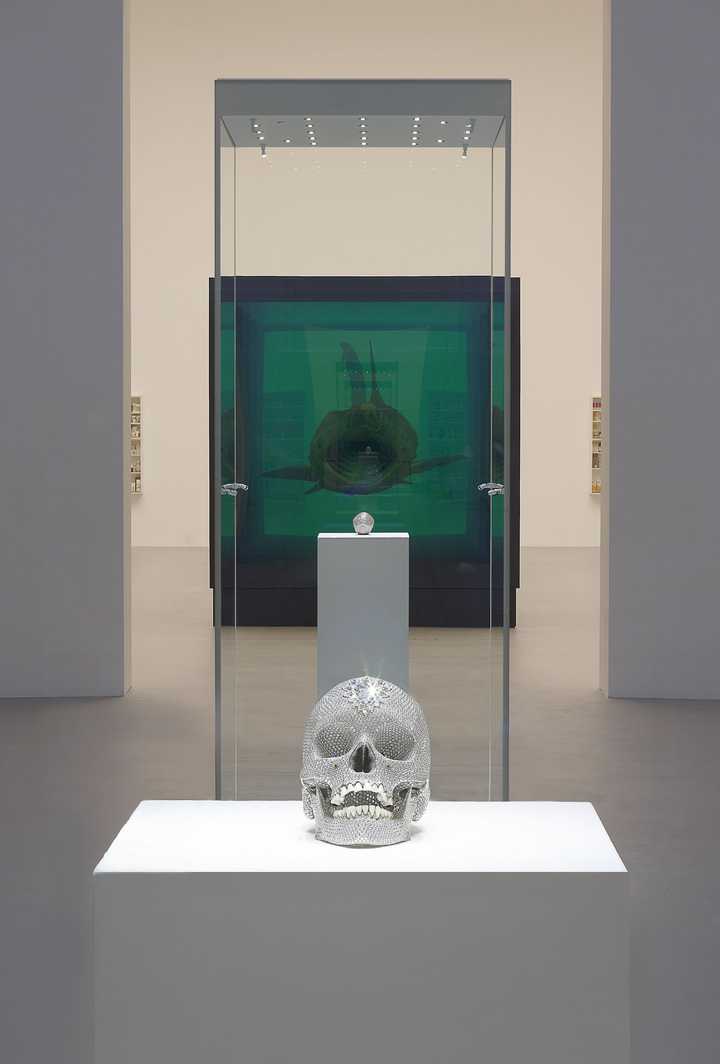 如何评价 damien hirst 的作品?