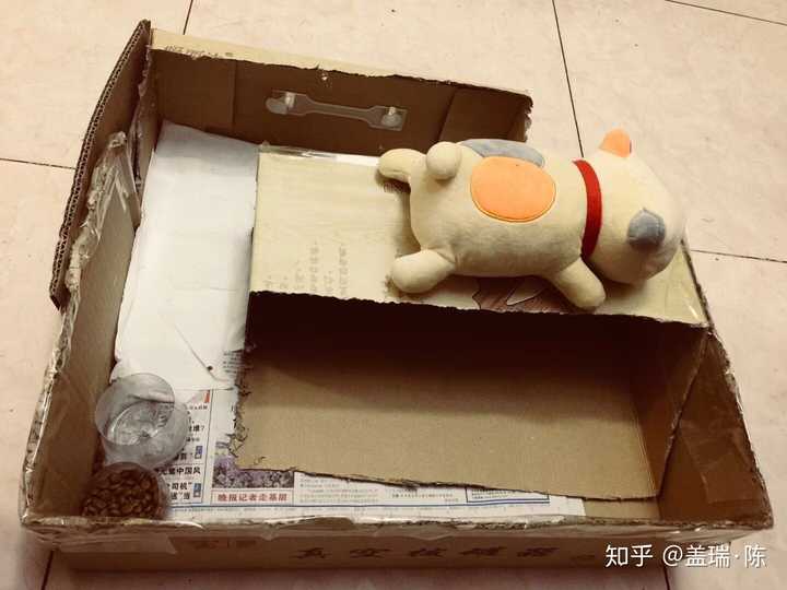 如何用废旧纸箱给猫做猫窝或者猫爬架?