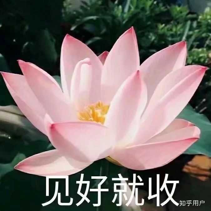 有什么适合男生的微信头像?