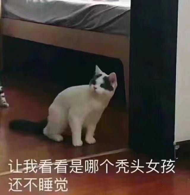 放前面比较容易找 快夸我贴心嘿嘿嘿(疯狂眼神暗示) 后面有渣女表情包