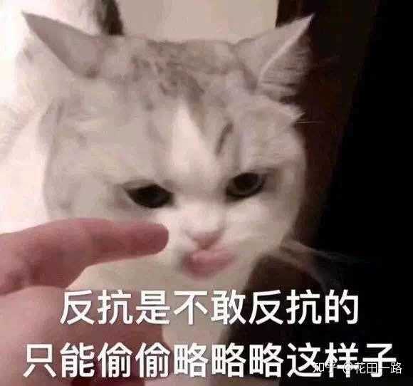 有没有和女朋友聊天用的表情包?