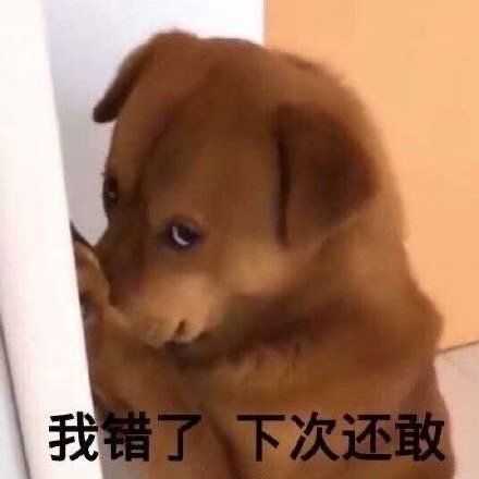 有什么猛男专用的表情包吗?