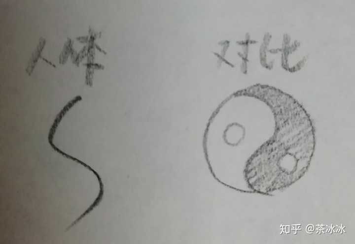 太极图来自于小冬的速写讲解