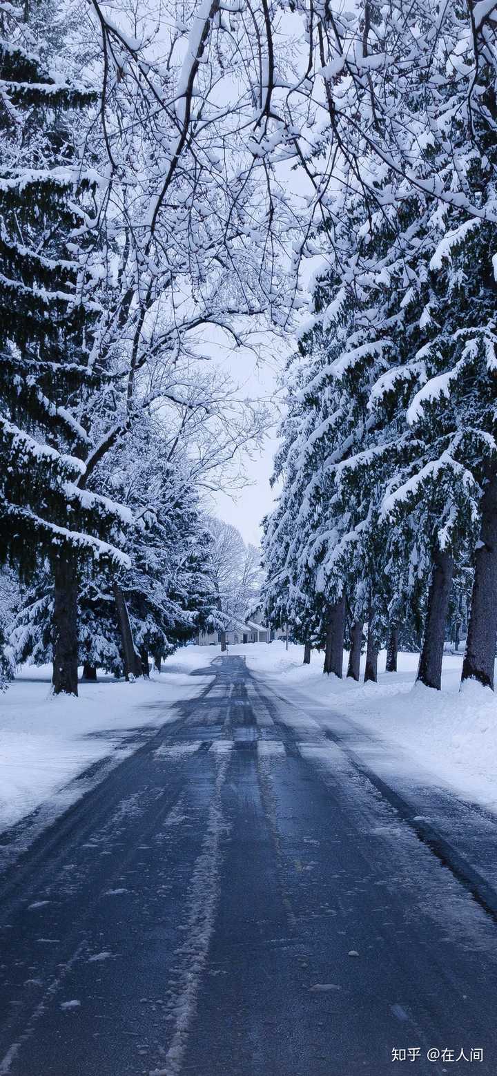 我的城市下雪了,可惜没有你