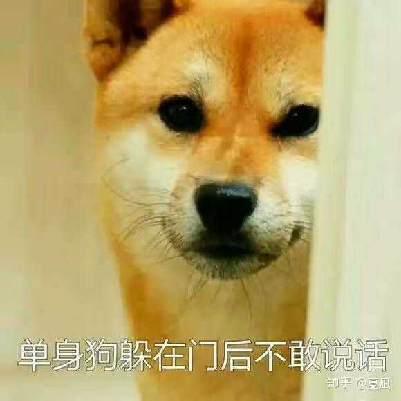 为什么好多男生喜欢用狗 做头像呢?