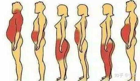 肚腩和怀孕的区别图