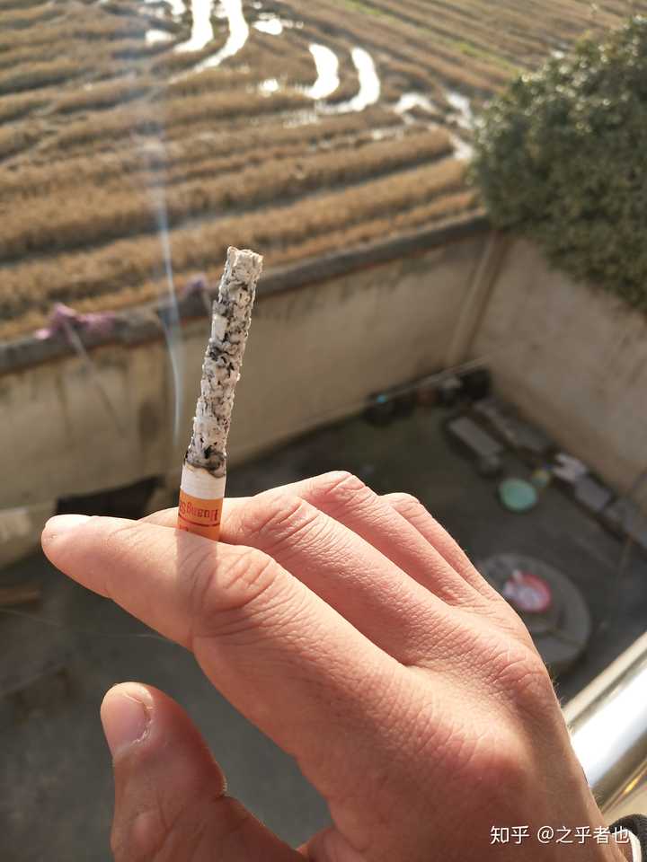 我一半,风一半,我并没有抽风,因为风也有烦恼,烟不好抽,却把烦恼随风