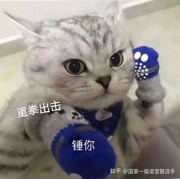 有没有沙雕的表情包(猫猫狗狗的最好,不要可爱的)类似