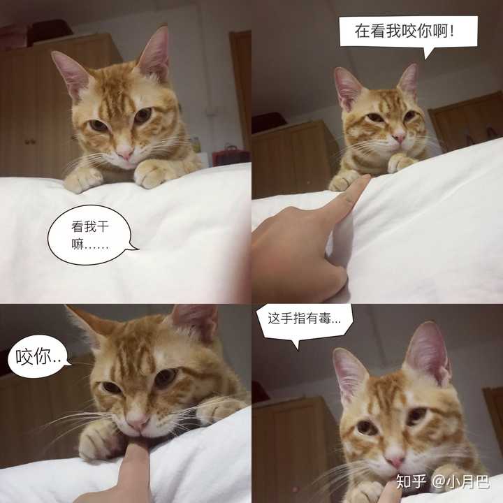 还有各种睡姿,搞怪的表情