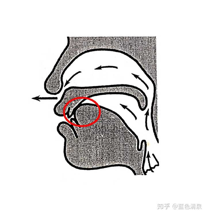 你可以试试发完音把舌头吐出来,基本上读出前鼻音是没有问题的.