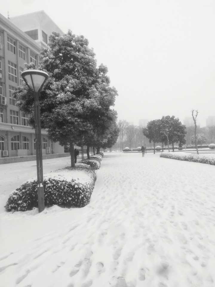 你的城市下雪了吗,能否用视频分享下雪天可以做哪些有