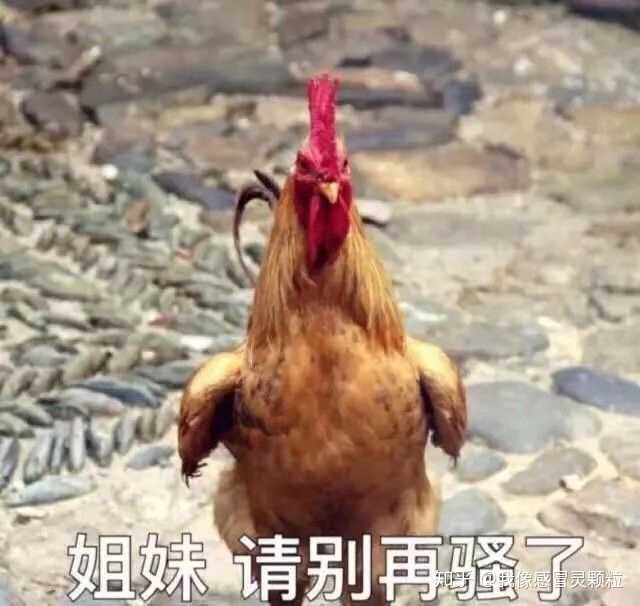 有哪些沙雕表情包?