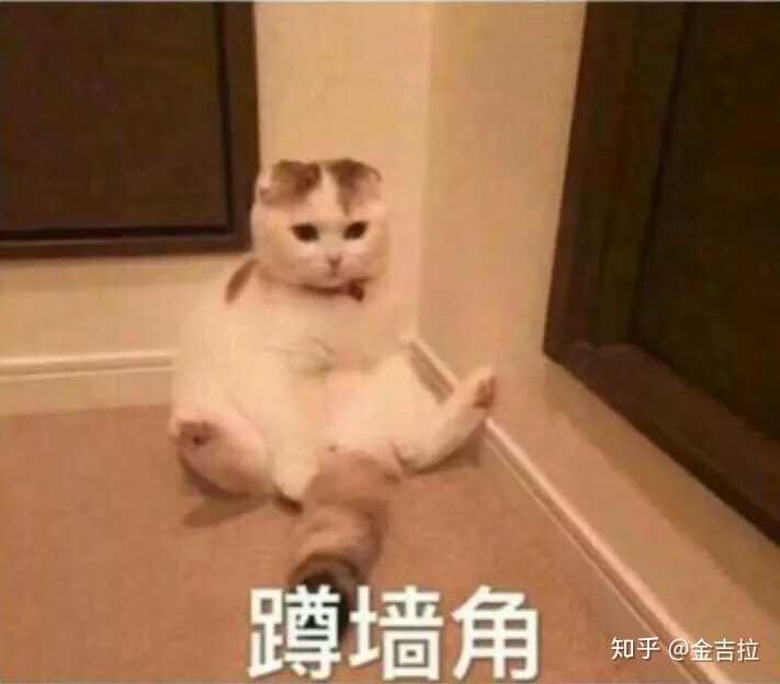 有没有给女朋友认错的表情包?