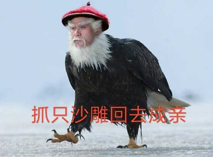 你们有哪些笑死人不偿命的sd表情包?