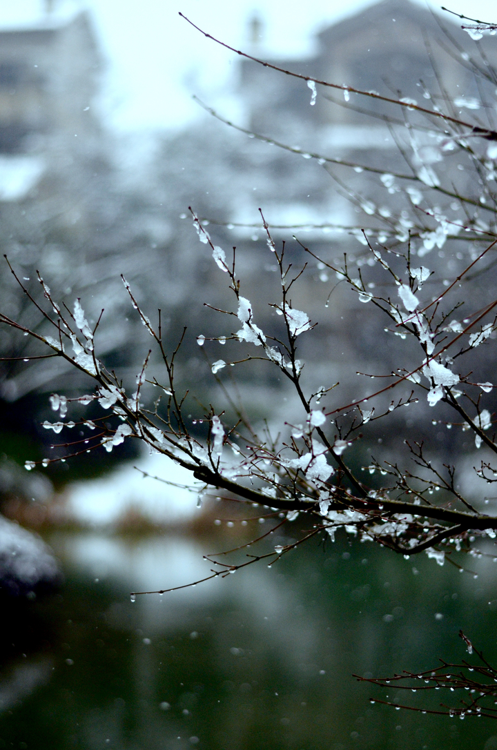 有什么好看的雪景壁纸图片?