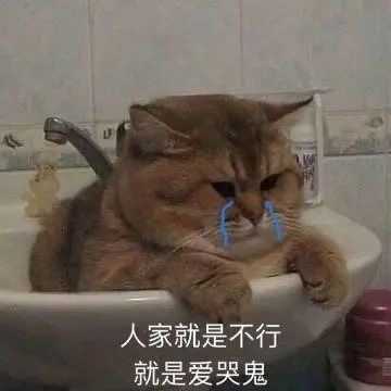 你们有没有珍藏着的猫咪表情包?