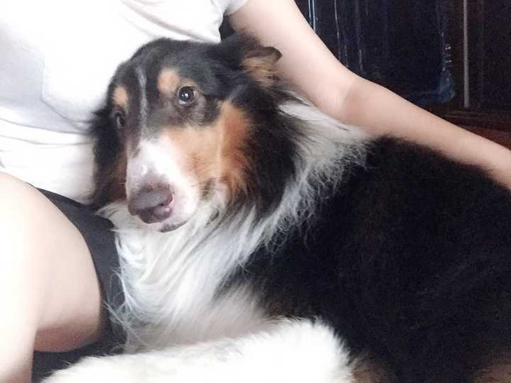 养苏牧是一种什么经历?