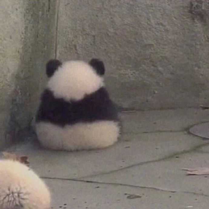 有没有什么生无可恋的表情包?