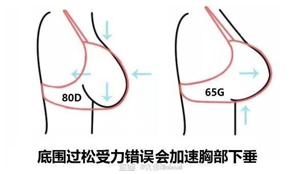 底围罩杯合适的情况下,水平受力主要通过钢圈以下的"下扒"部位与后比