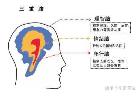 根据三重脑,我们可以把目标分成三个层次.