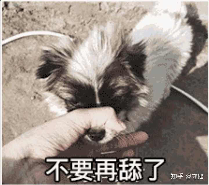 舔狗到底有多么卑微?