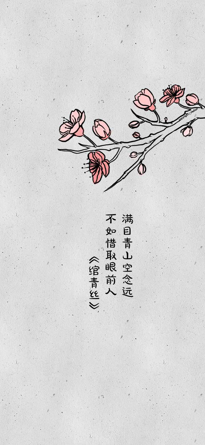 分享一些提醒自己珍惜当下的文字图片,分为图案背景和纯色背景两种.
