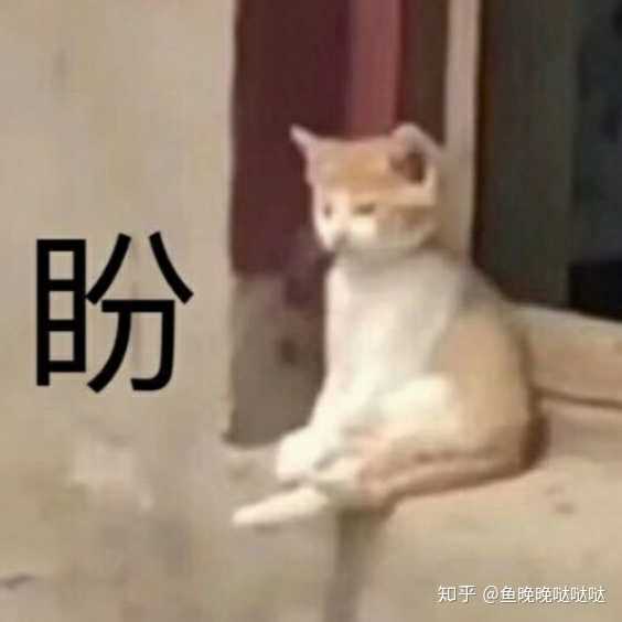 第三天:啊啊啊啊啊整个小镇都封了啊啊啊啊啊