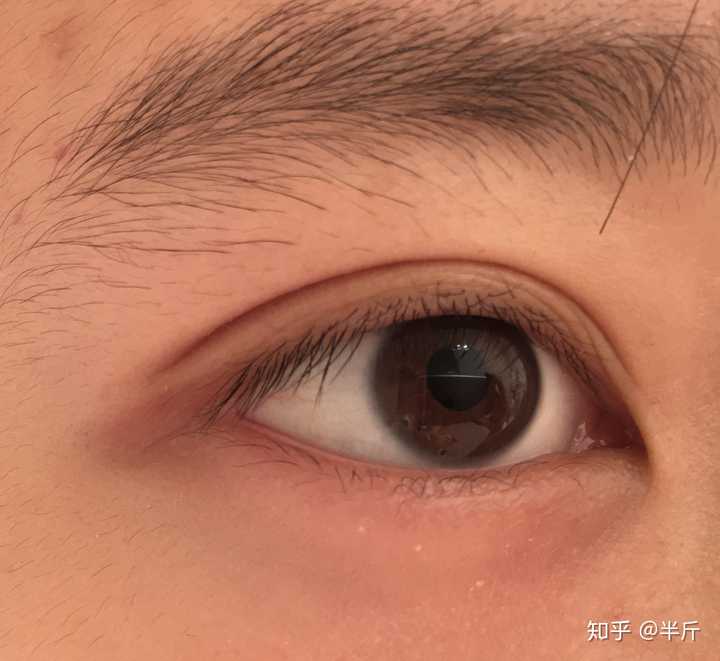 拥有圆眼是一种什么体验?