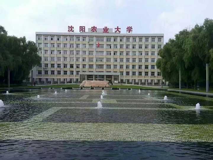 在沈阳农业大学就读是一种怎样的体验?