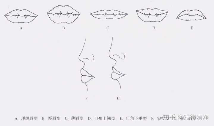 唇的美学包括: 唇高度 唇突度 唇厚度 口裂宽度 唇形 嘴唇形有哪几种