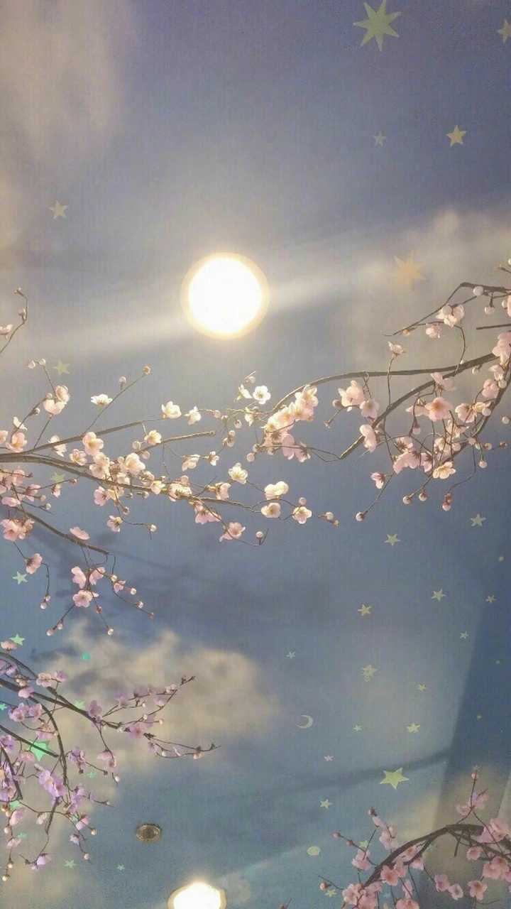 适合女生可爱温柔好看的聊天背景图有哪些呢?