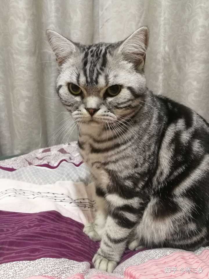 发布于
