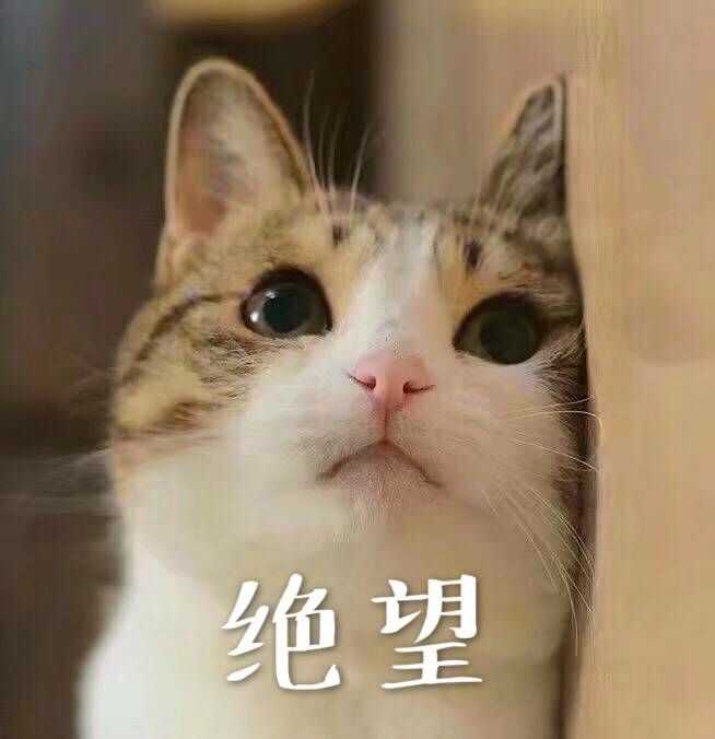 要考试了…教室…爆…爆满……害怕……在墙角瑟瑟发抖