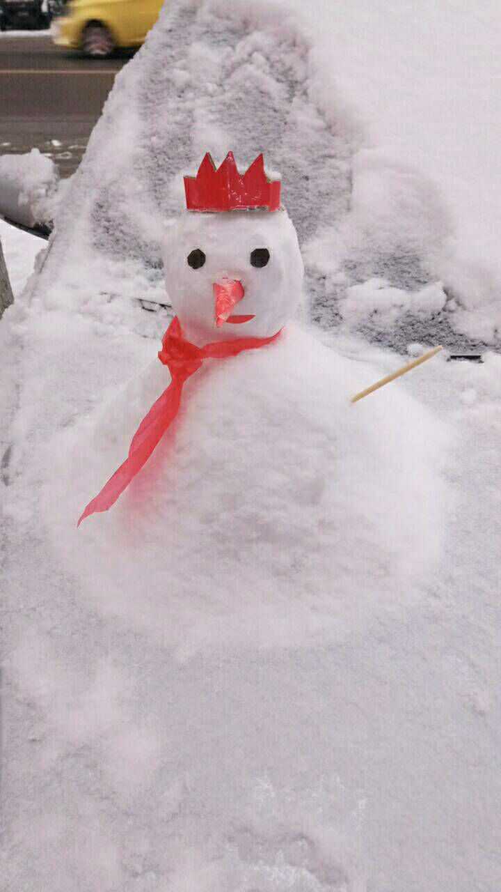 精致的雪人.