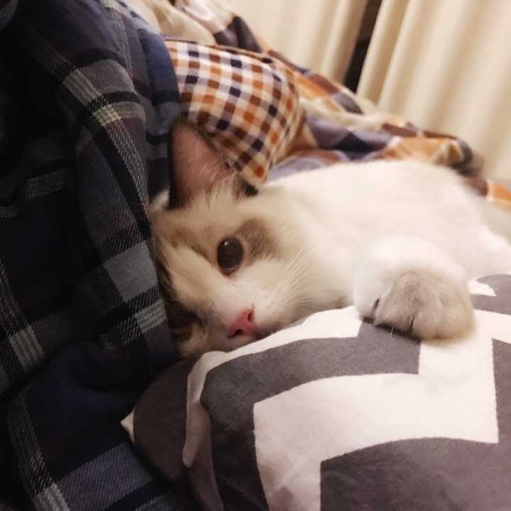 我很乖的