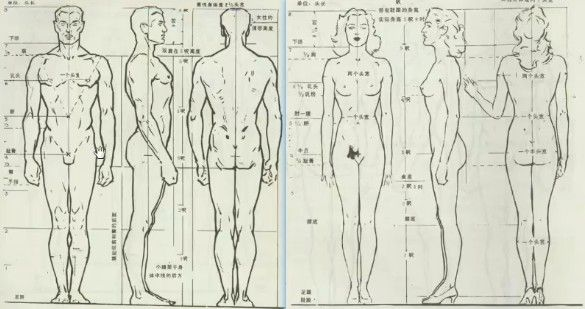 我想画漫画,插画,动画设定图之类的,但是对人的结构画